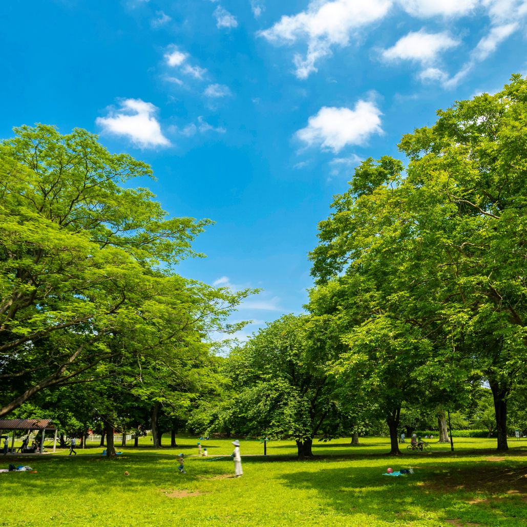 自然に寄り添って暮らす