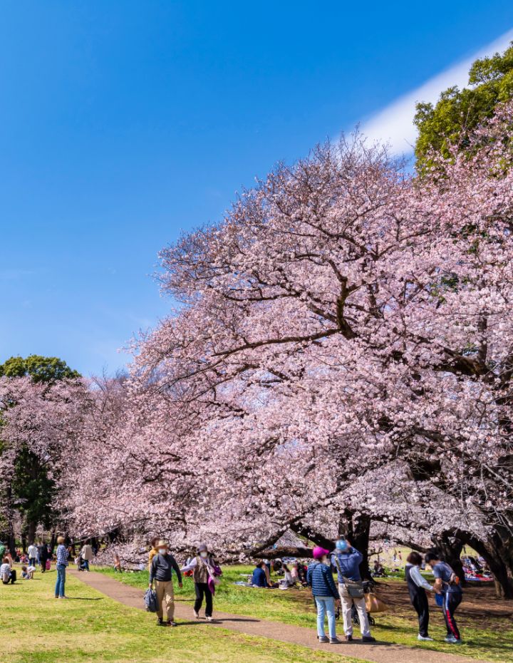自然に寄り添って暮らす